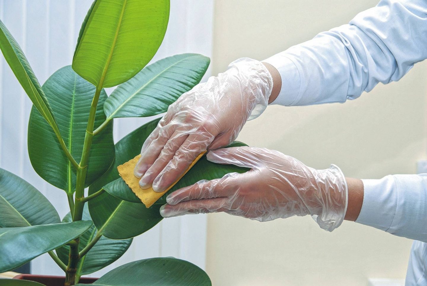 Dust & Debris The Invisible Threats Of Your DIY Workspace See It Do It